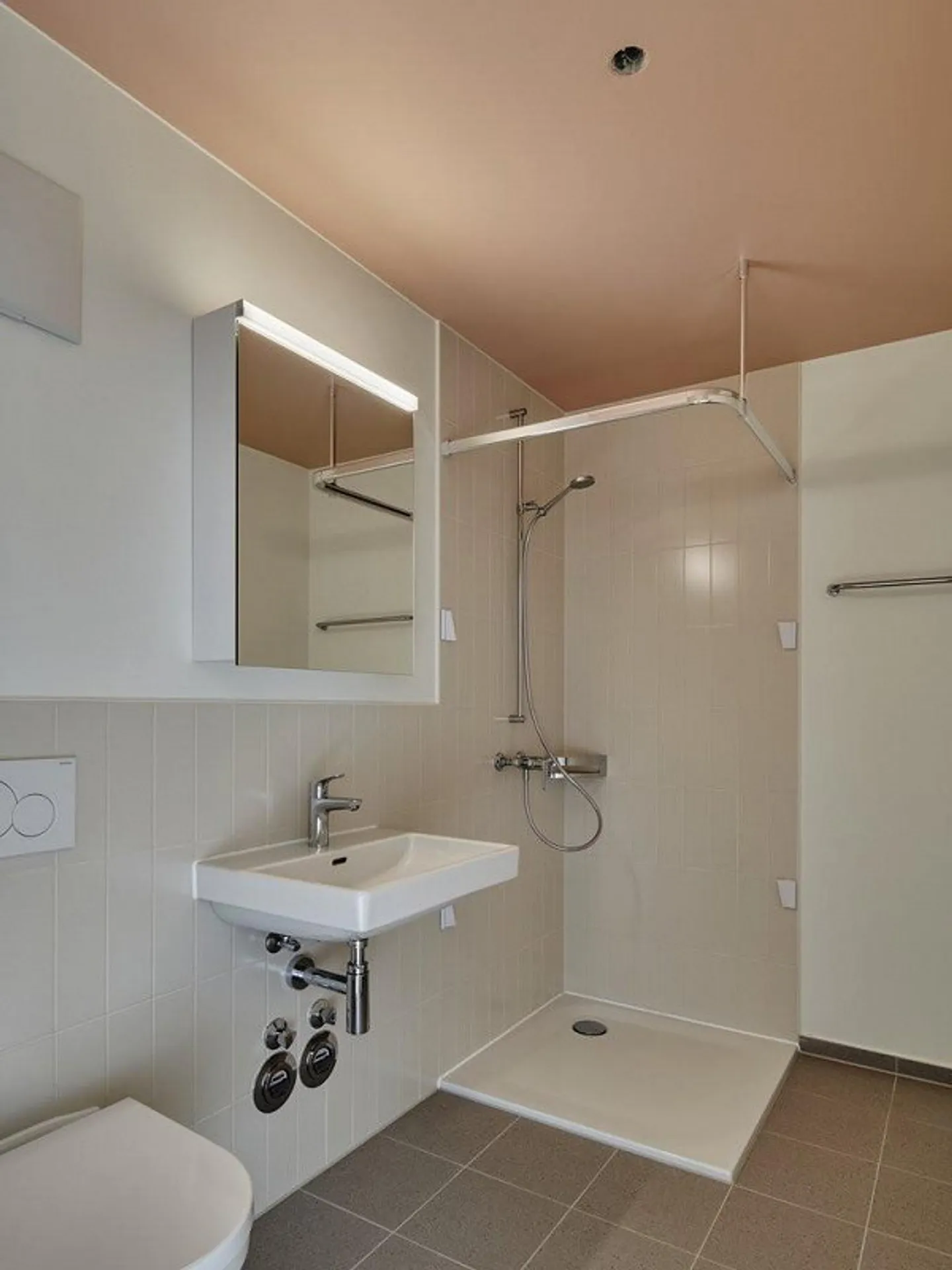 Modern Development in Reinach - Photo 6 of 6