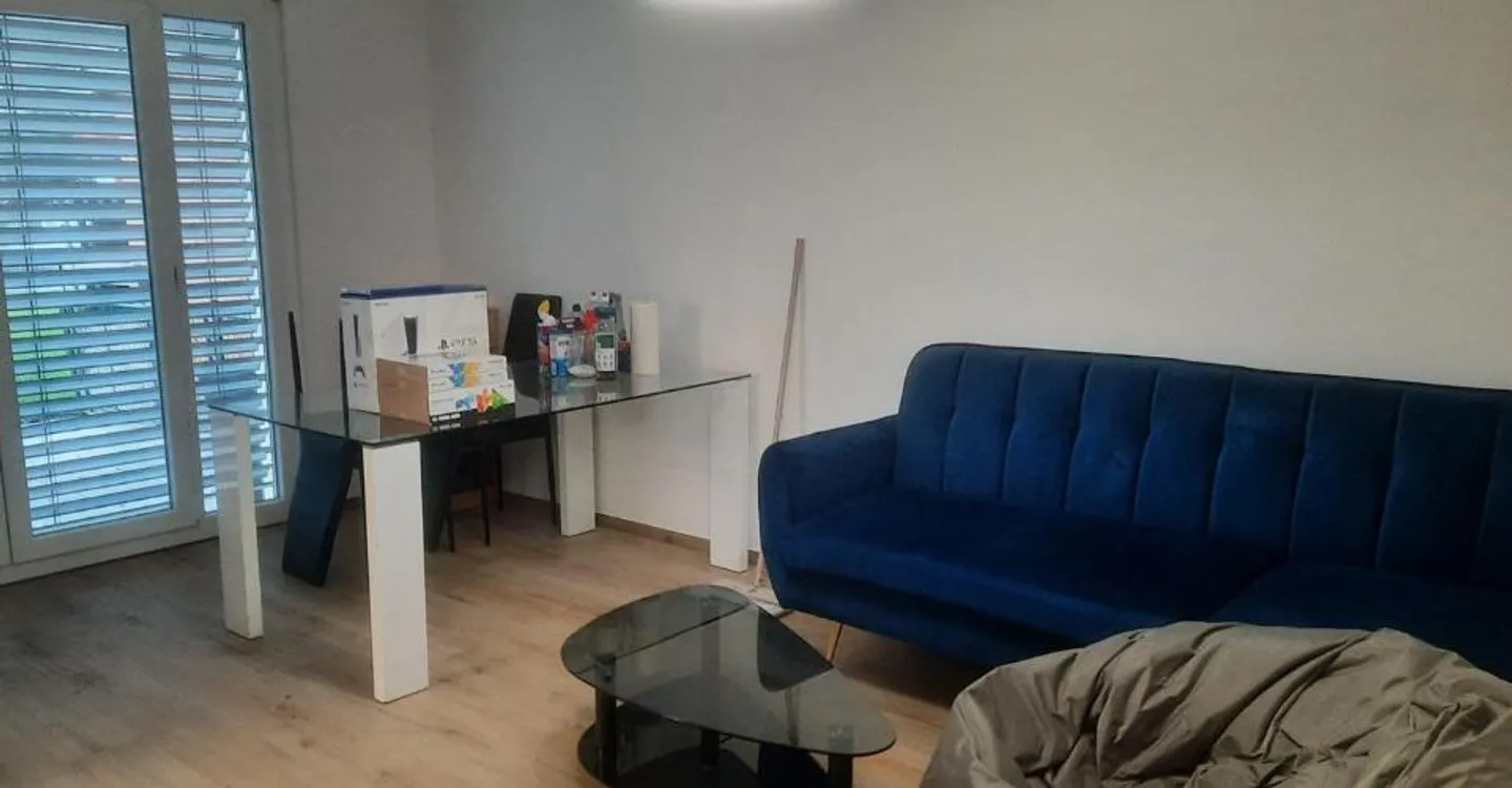 Appartamento ristrutturato a Sierre - Foto 3 di 7