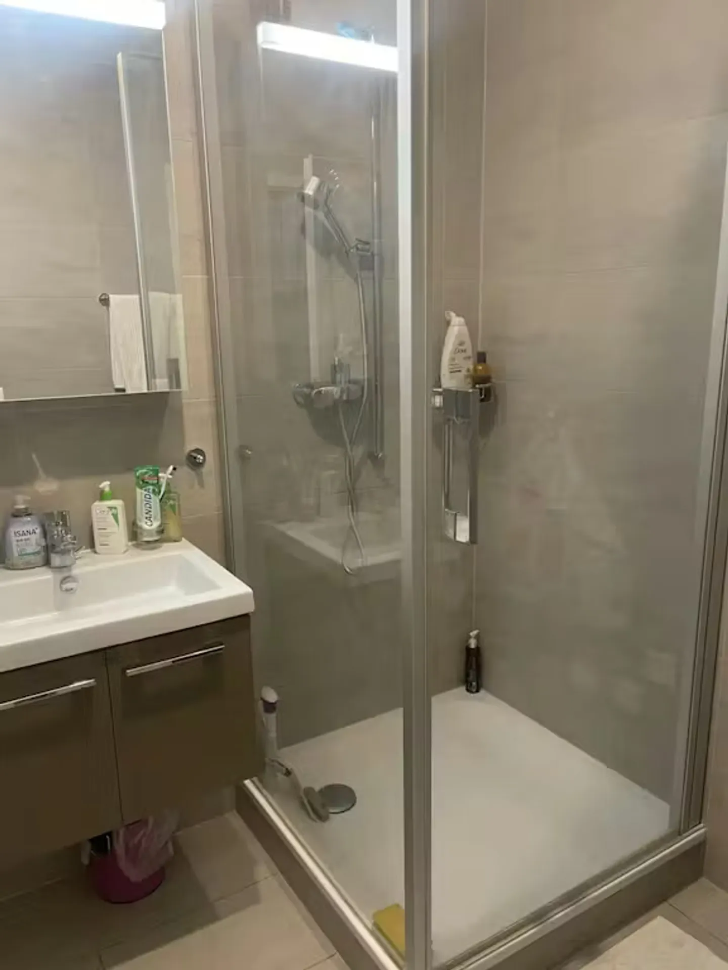 Chalet Incantevole a Grand-Saconnex - Foto 2 di 4