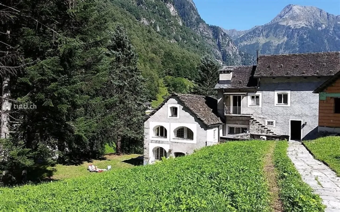 Casa singola in affitto - Foto 3 di 10
