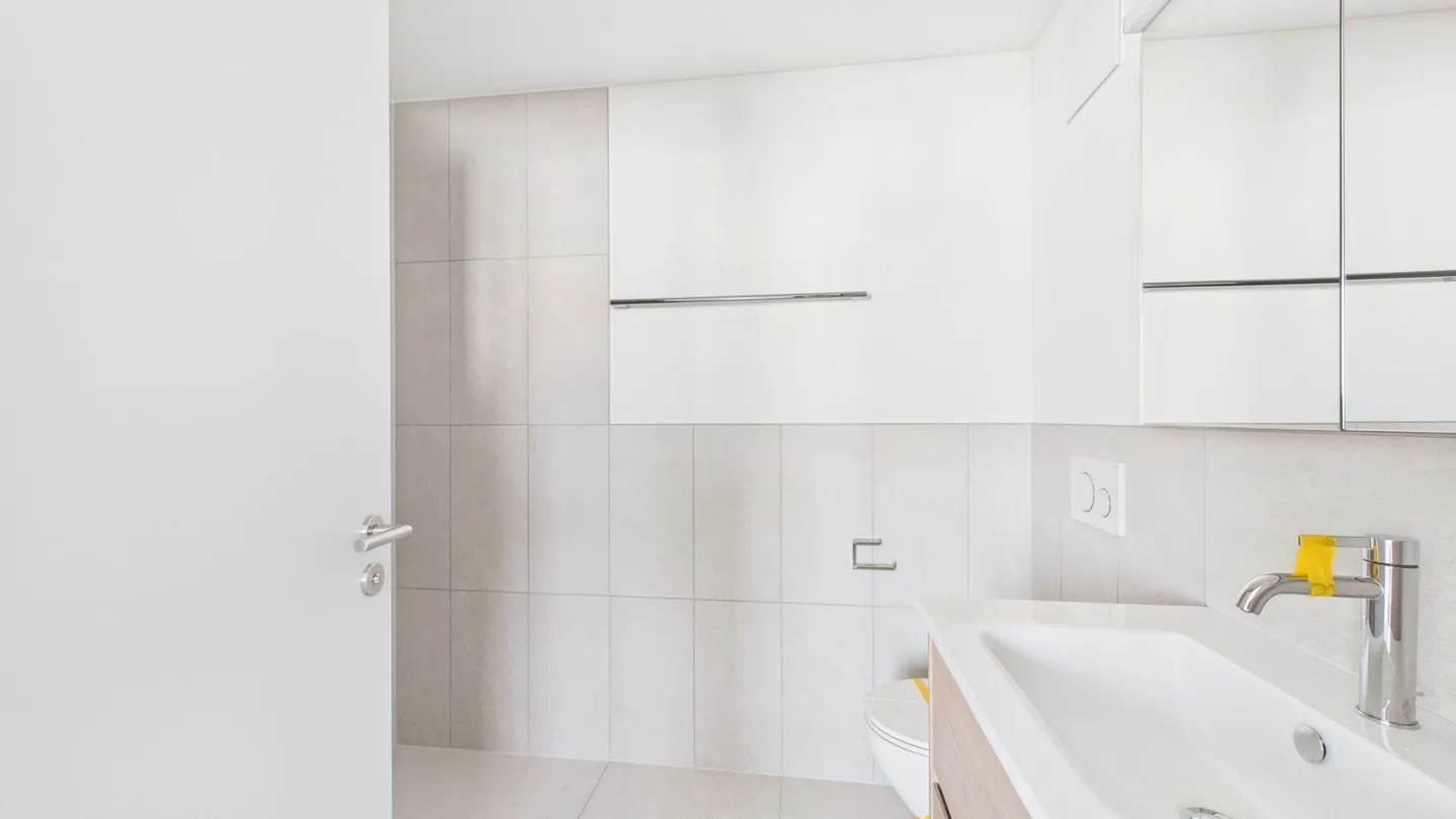 Light, View and Location - Modern Living in Dietikon - Photo 16 of 17