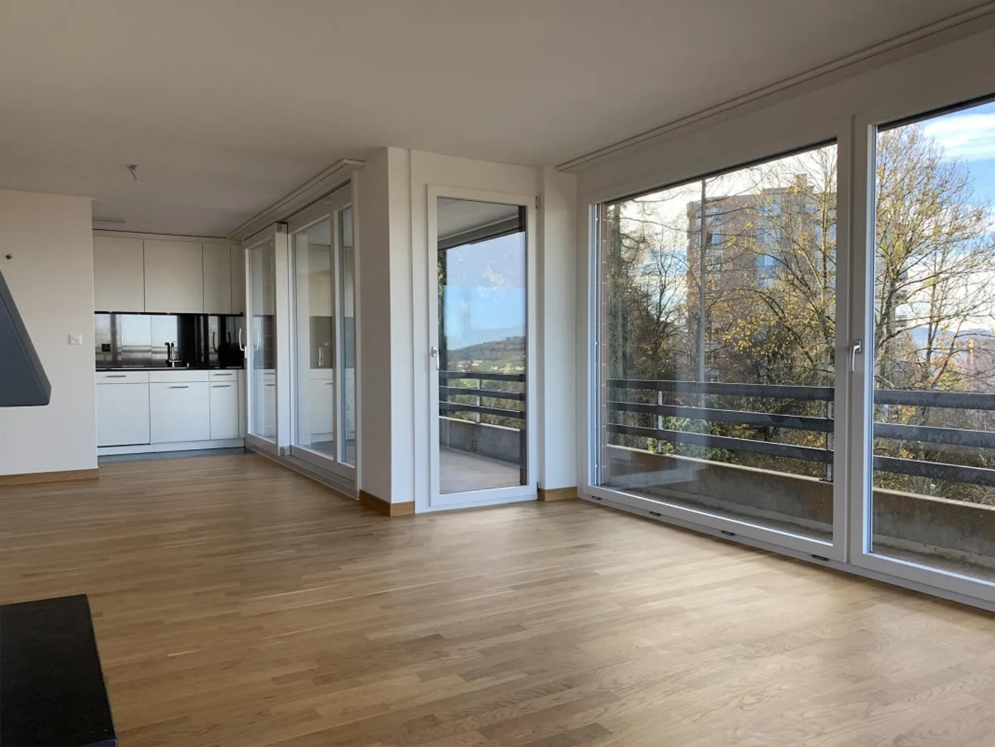 Appartement Attique de 4.5 pièces de rêve - Photo 6 sur 17