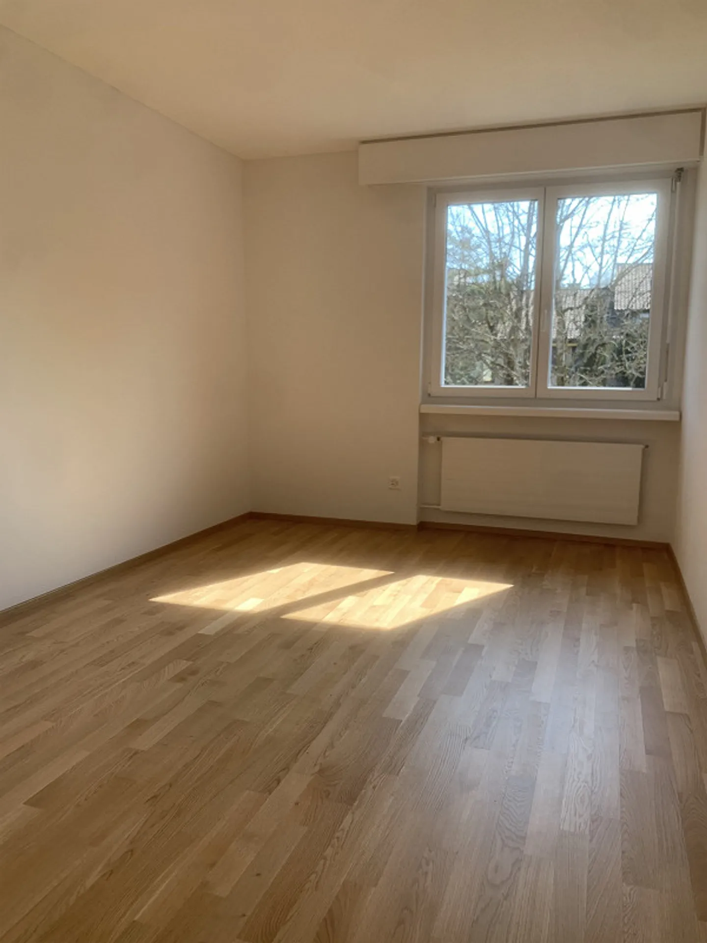 Your retreat with a view - comfortable living in a quiet location! - Photo 4 of 9