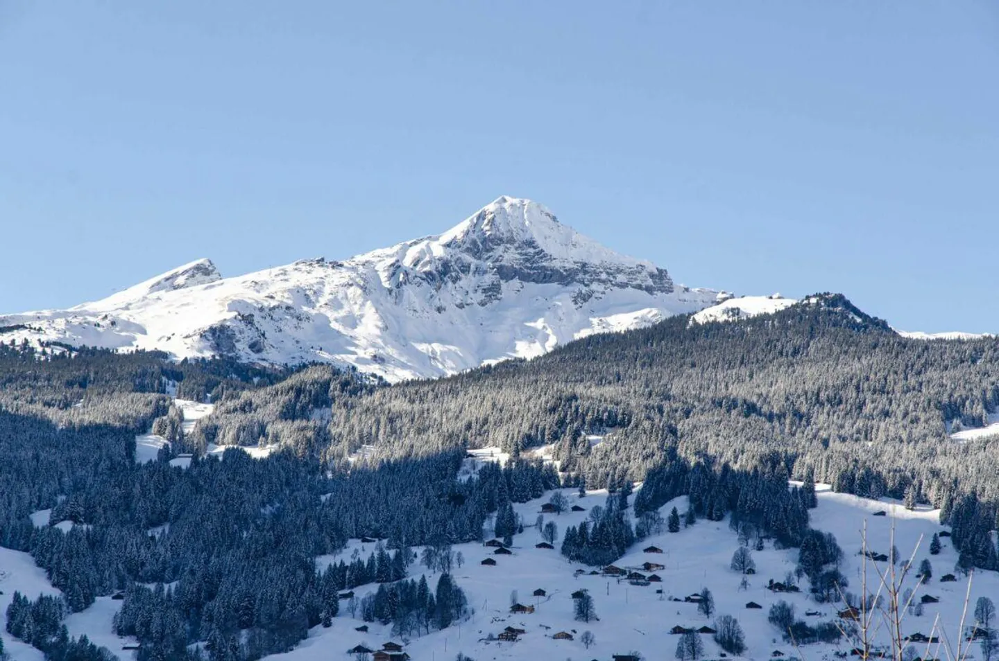 Sonnige 4.5-Zimmer Chalet Wohnung - Foto 3 von 24