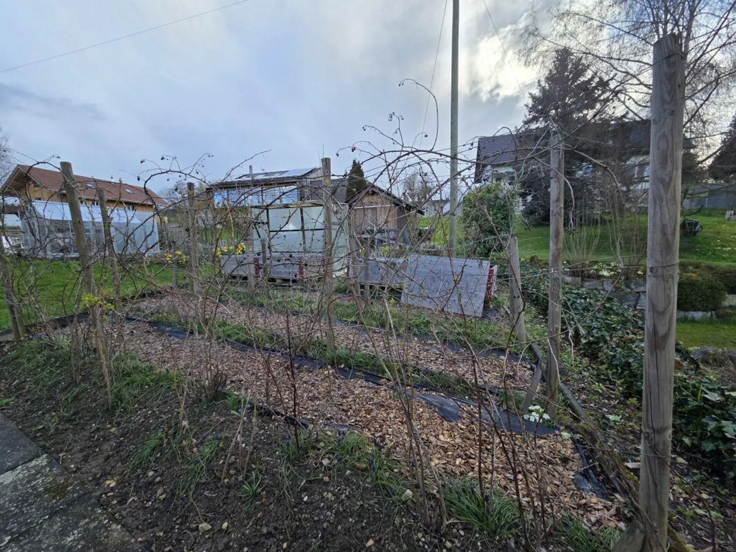 Charmantes Familienhaus in Schlatt - Foto 15 von 15