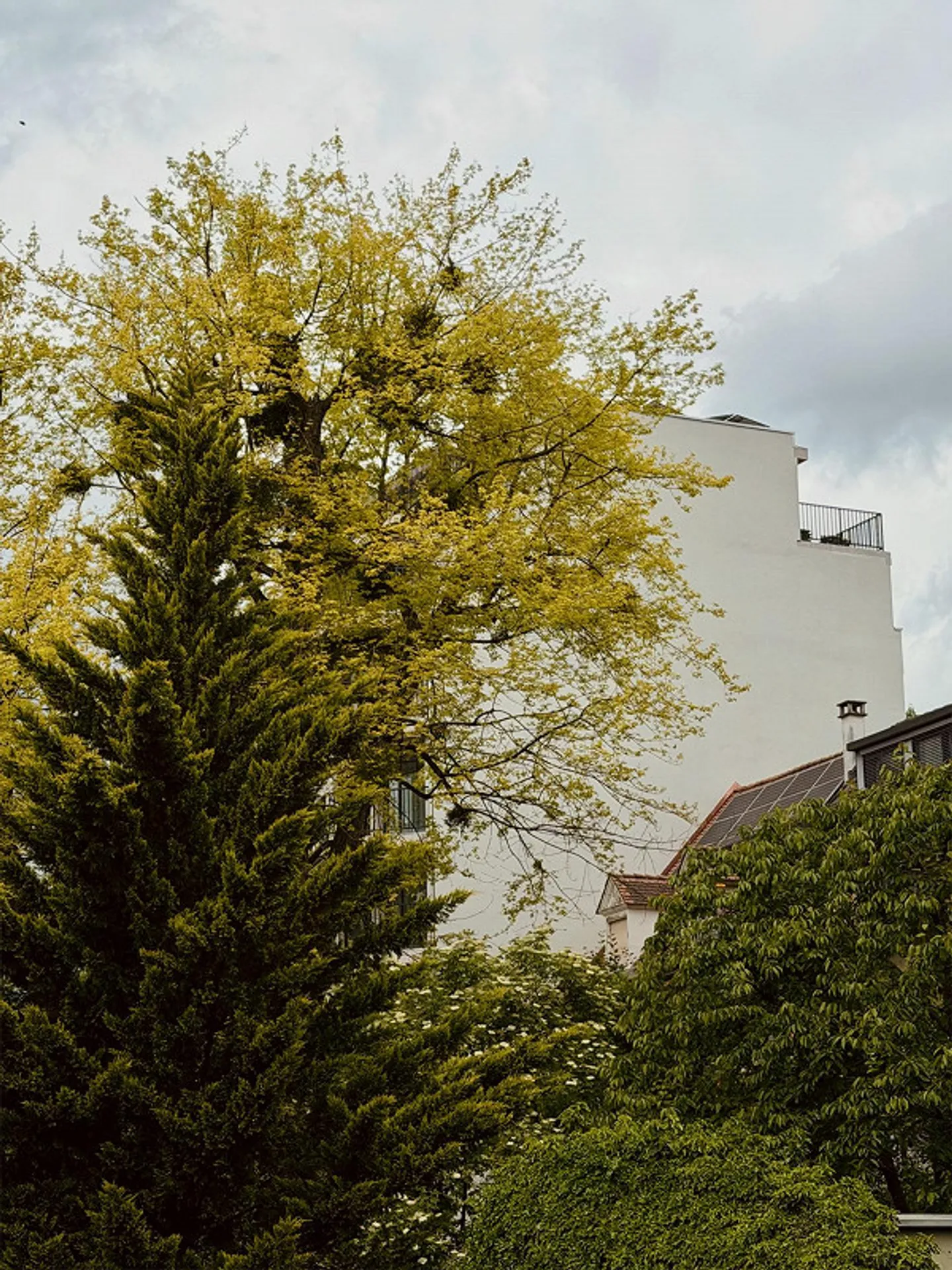 Moderne Wohnungen an der Birs - Foto 11 von 15