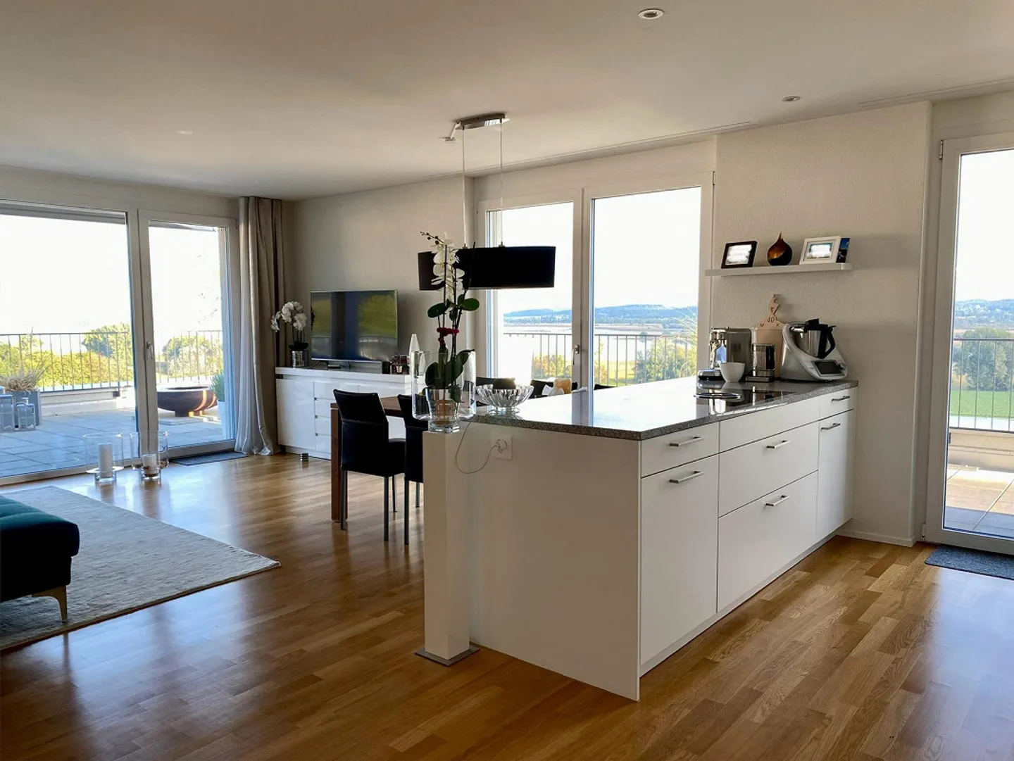 Exclusive Penthouse with Lake View - Photo 7 of 15