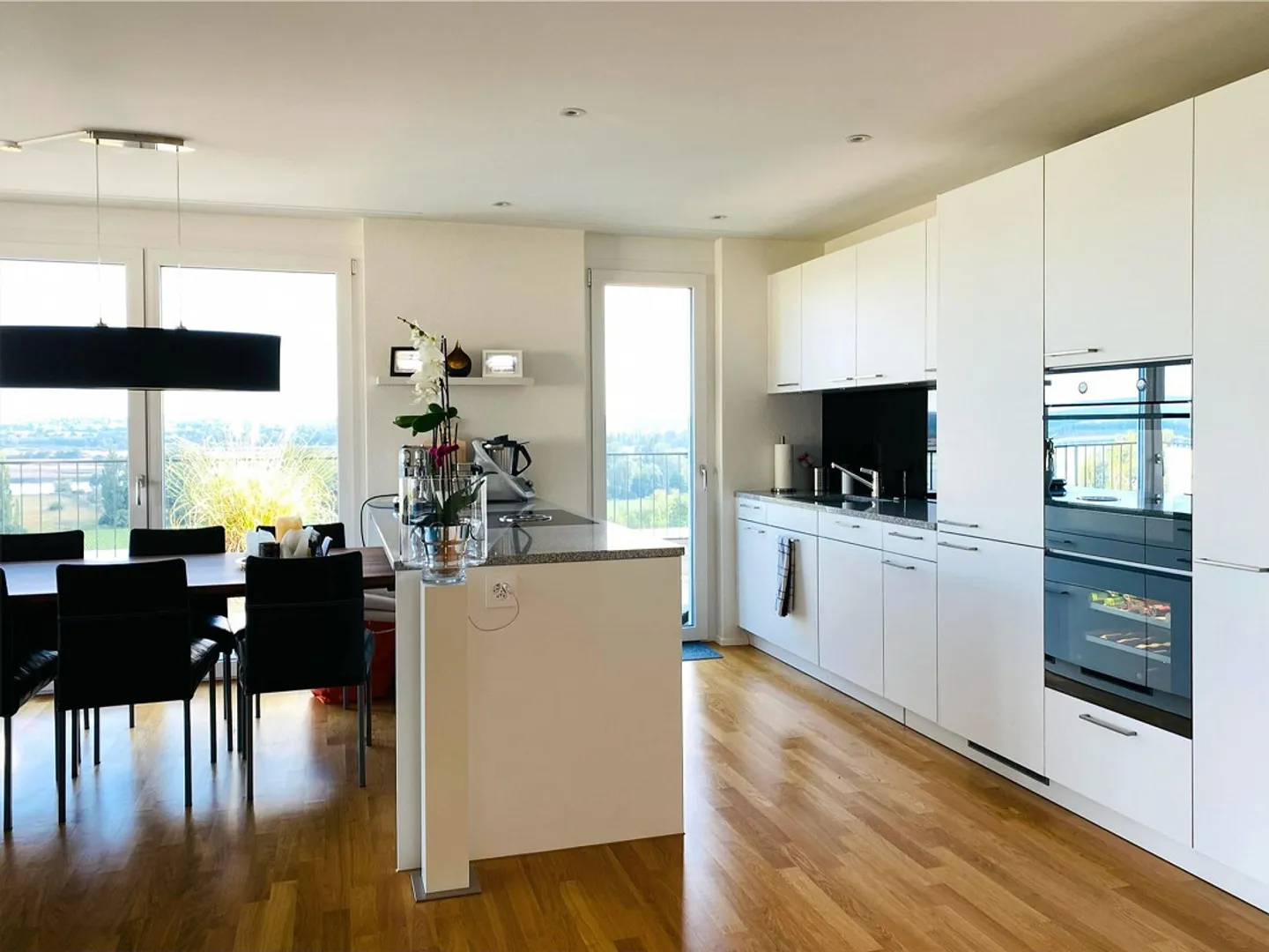 Exclusive Penthouse with Lake View - Photo 8 of 15