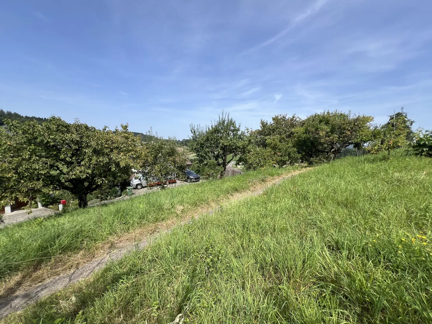 Charming Family Home with Garden - Photo 10 of 11