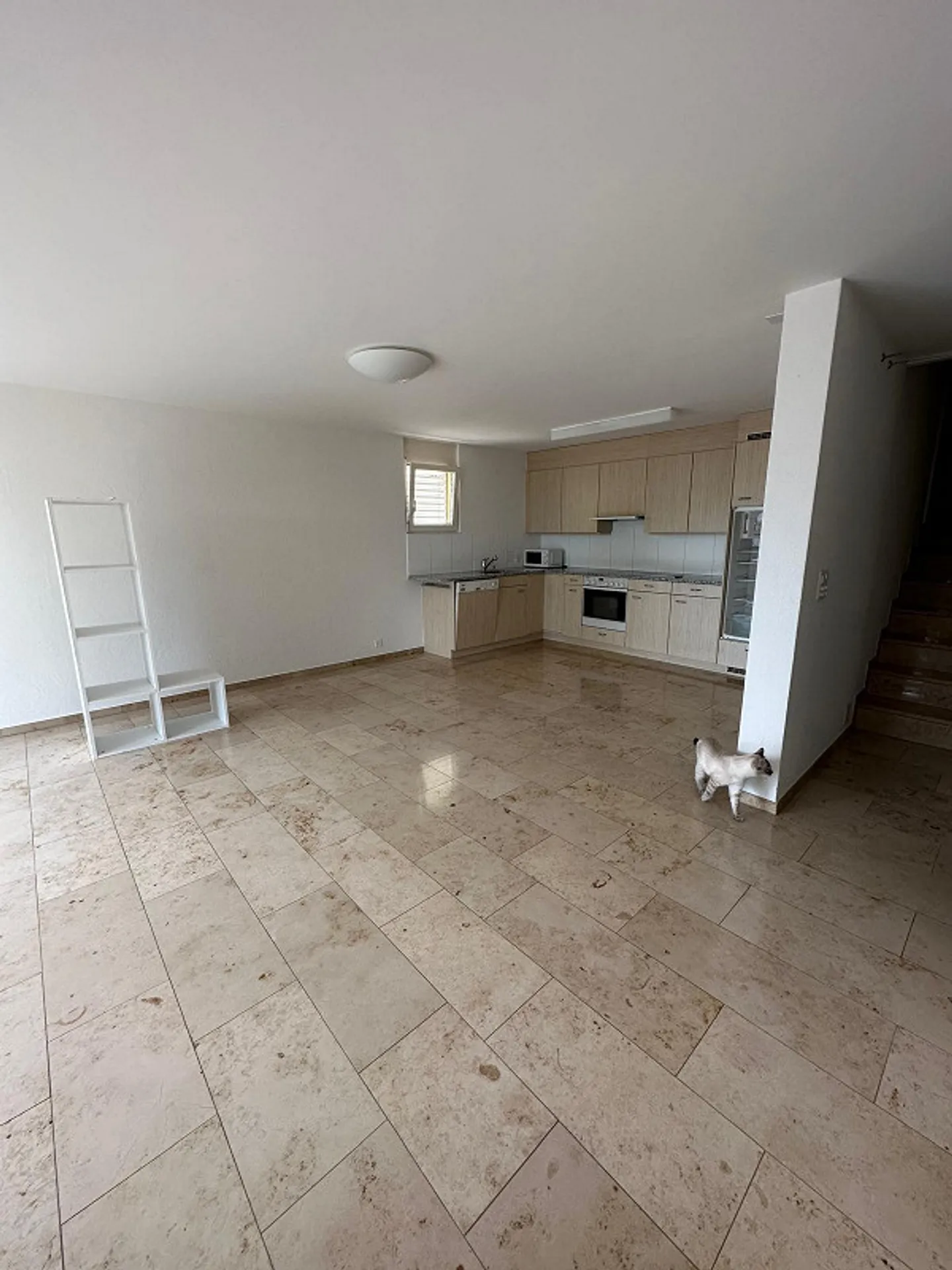 Subaffittuario per bell'appartamento di 3,5 stanze - Foto 10 di 11