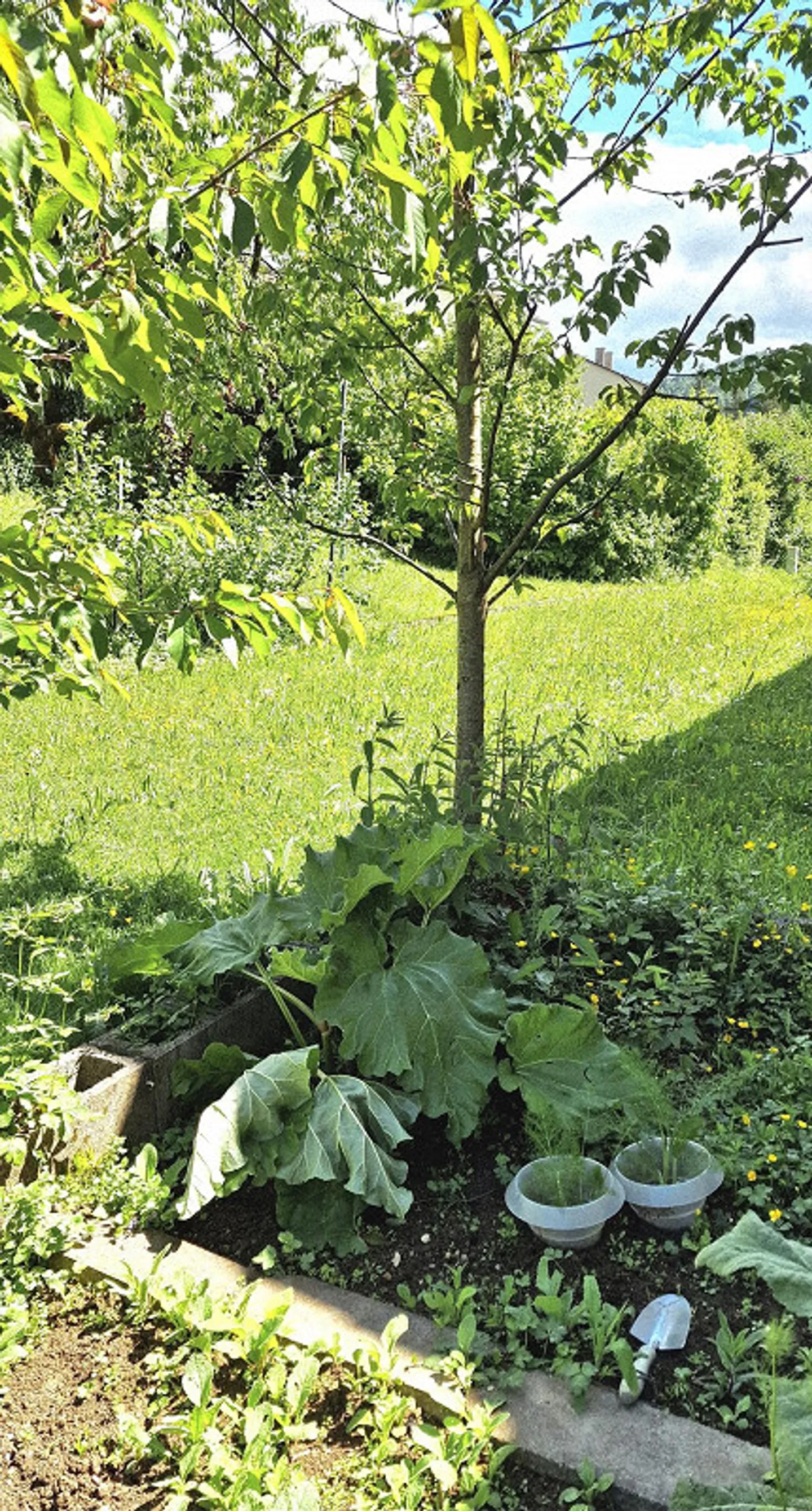 Sonnige 4-Zimmer Wohnung mit Garten - Foto 15 von 17