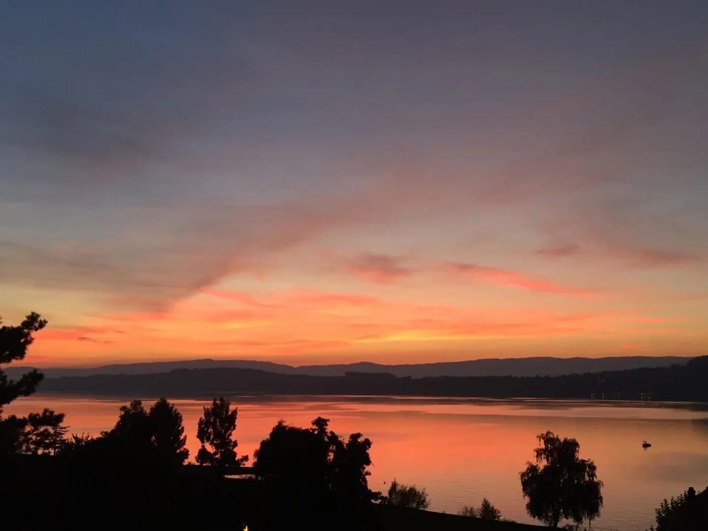 Bella vista sul lago di Morat - Foto 3 di 9