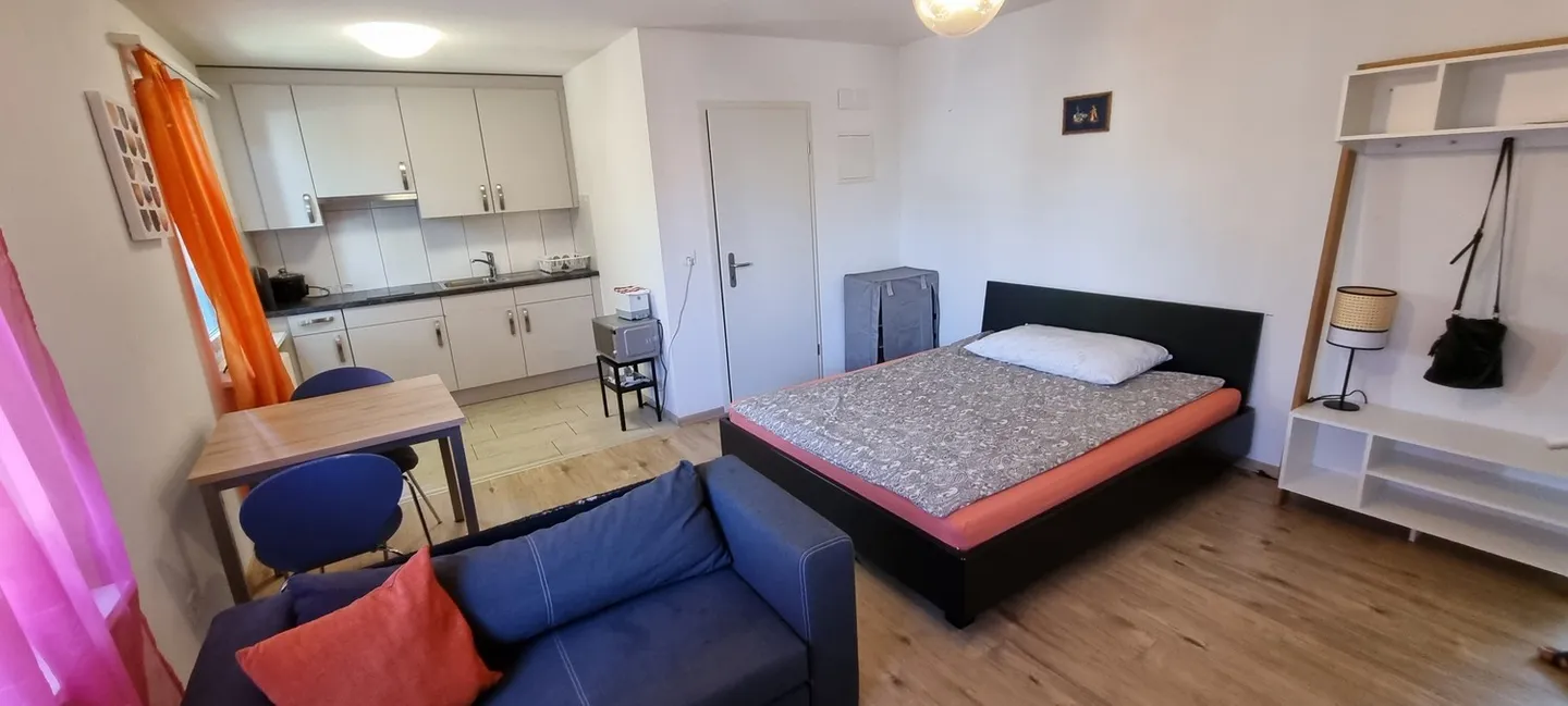 🏡 Charmant appartement de 1,5 pièce au centre de Dietikon (Zürich) - Photo 1 sur 8
