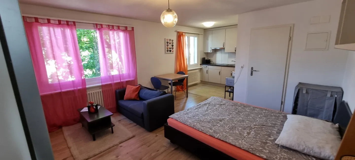 🏡 Charmant appartement de 1,5 pièce au centre de Dietikon (Zürich) - Photo 2 sur 8
