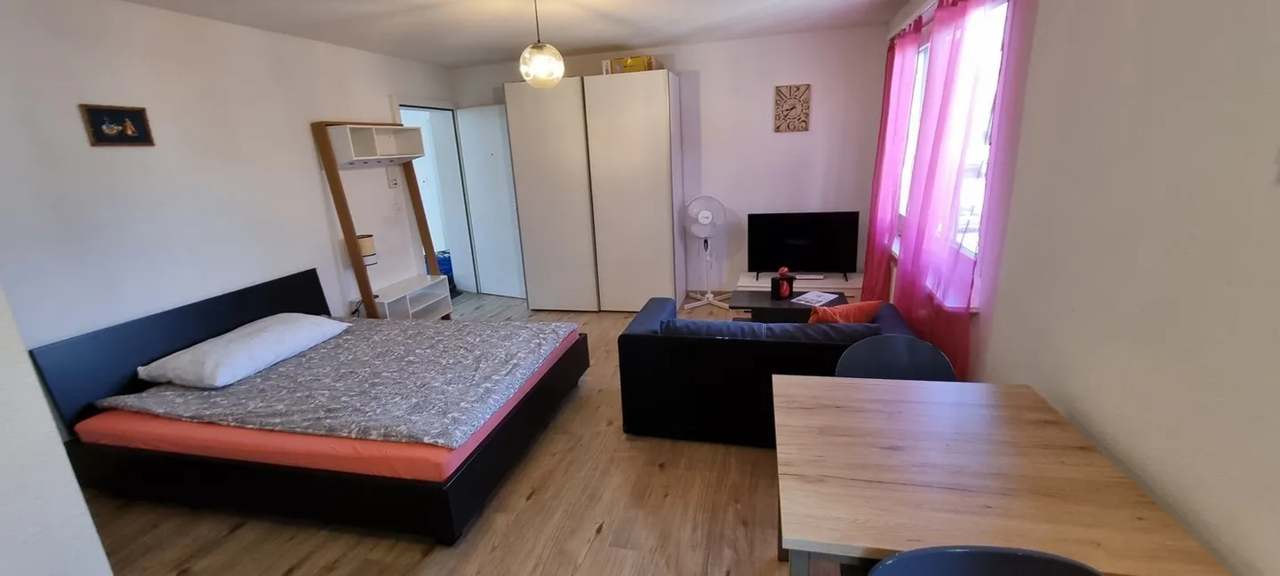🏡 Charmant appartement de 1,5 pièce au centre de Dietikon (Zürich) - Photo 3 sur 8