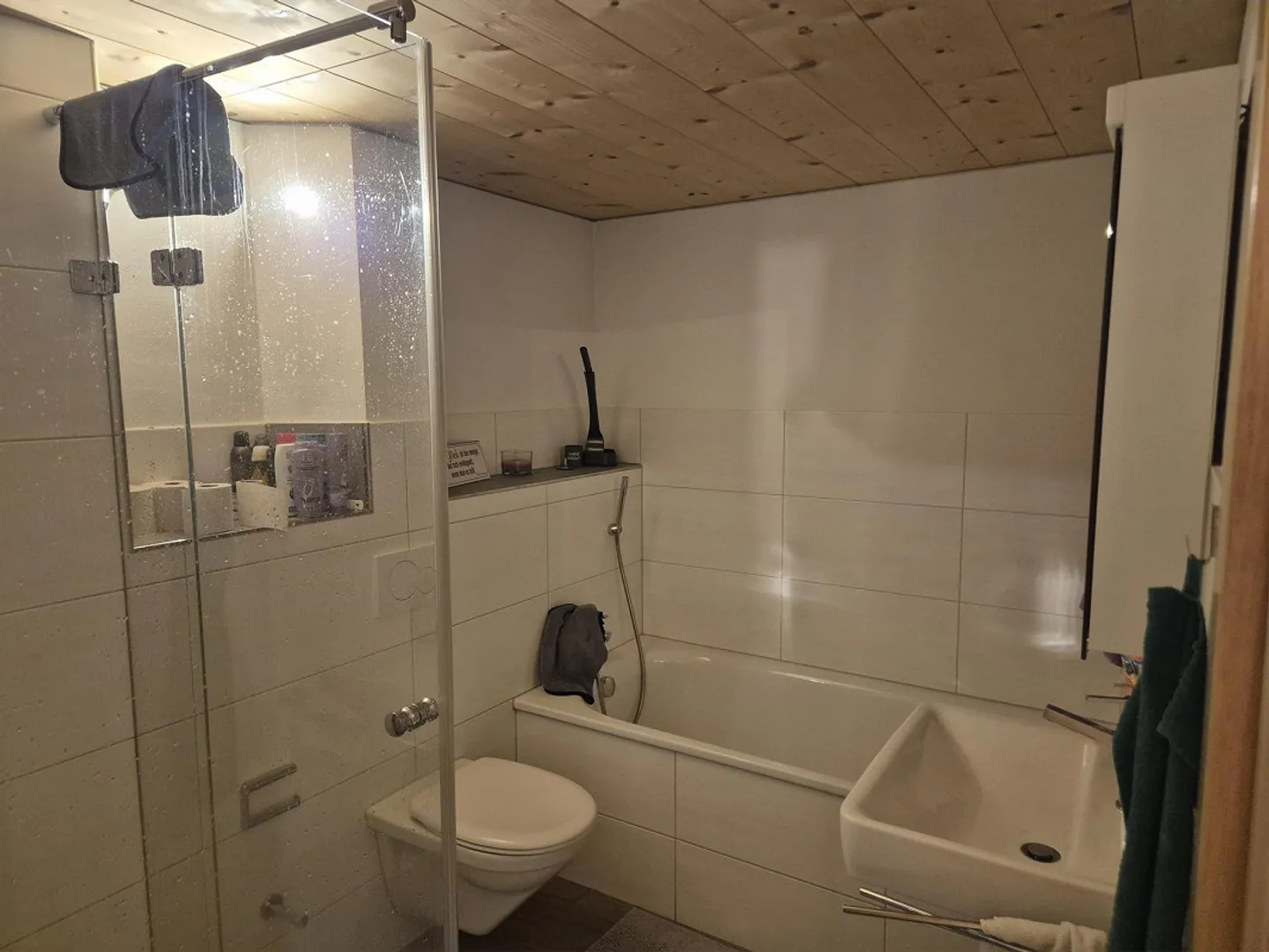 Spacious 4.5-Room Apartment Ideal for Families and Couples - Photo 13 of 16