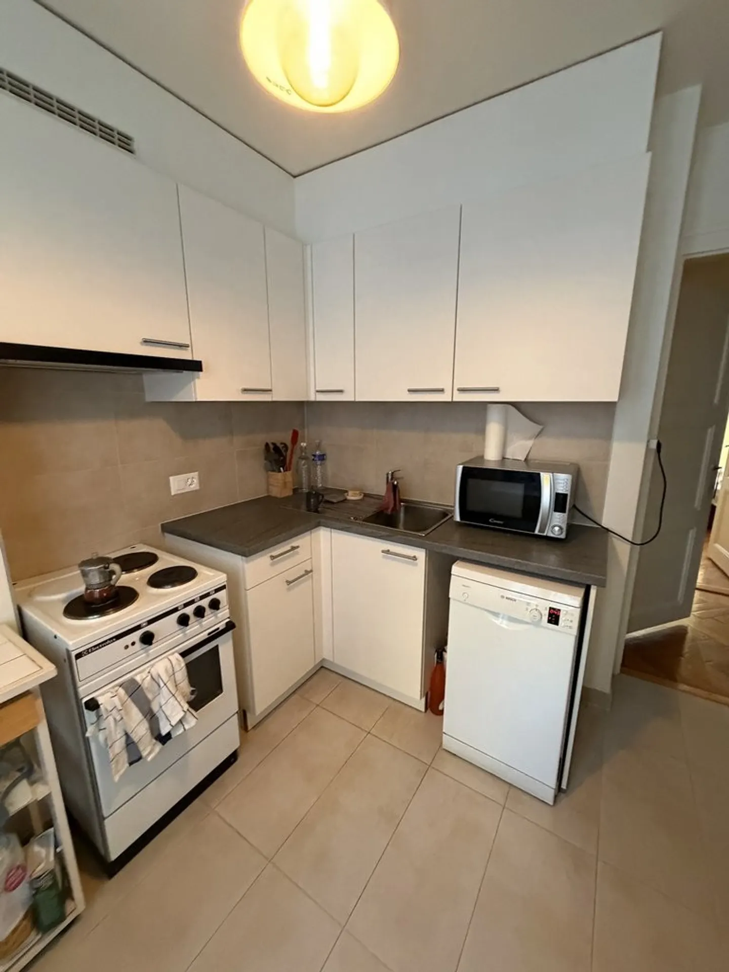 To seize! Magnificent apartment in Carouge! - Photo 3 of 6