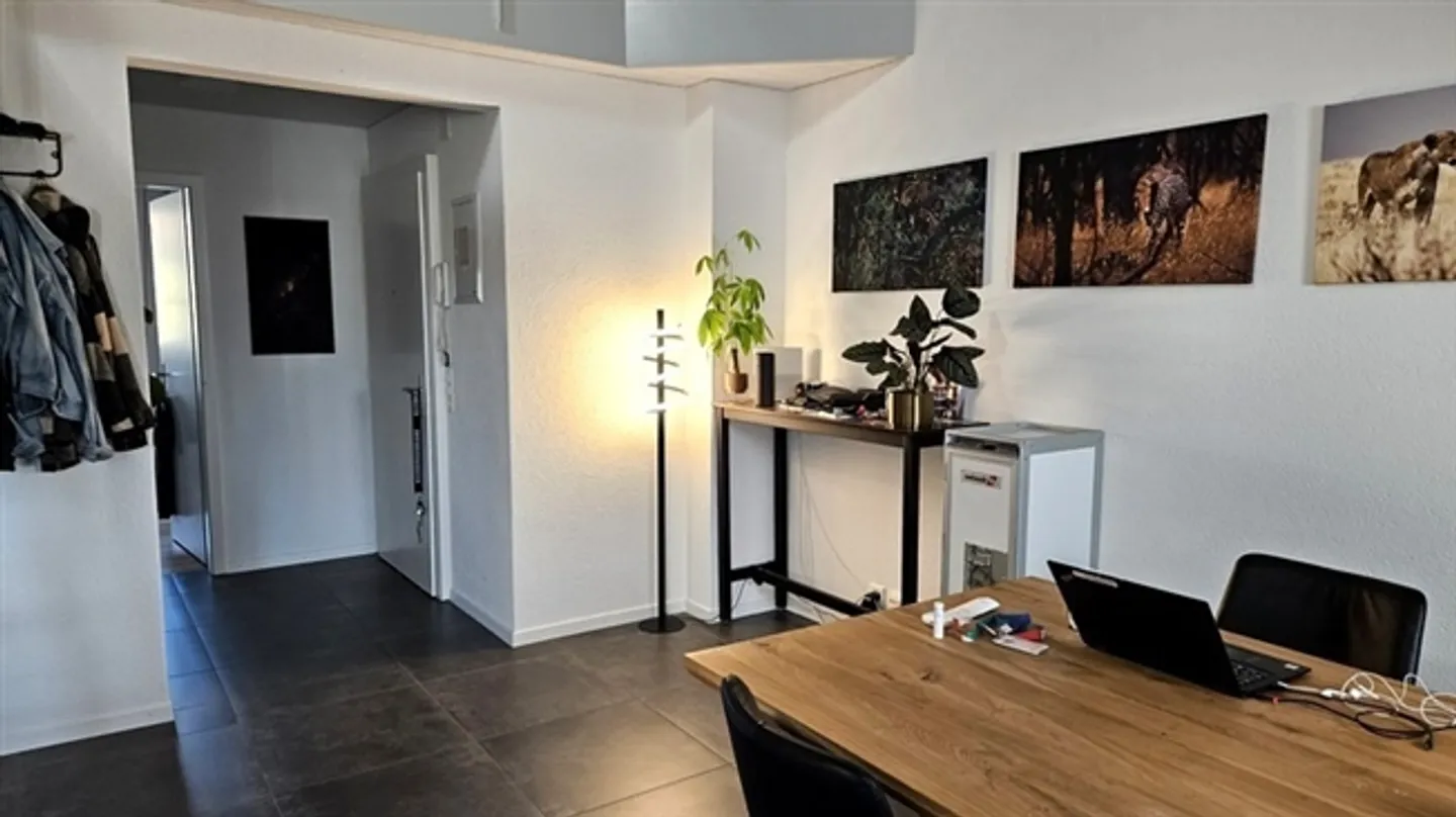 2½ ROOM APARTMENT IN BERN - MATTENHOF, FURNISHED, TEMPORARY - Photo 4 of 10