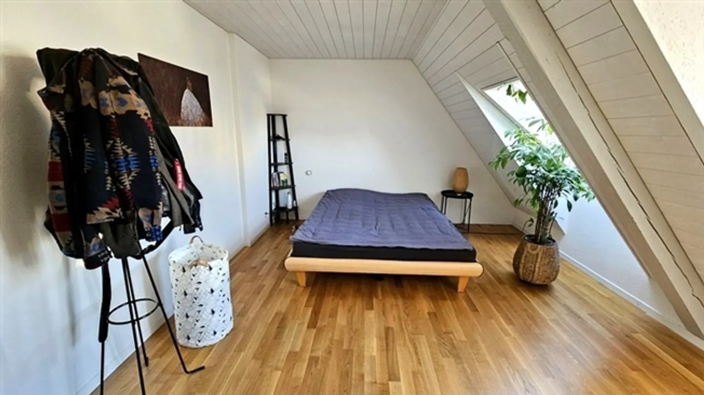 2½ ROOM APARTMENT IN BERN - MATTENHOF, FURNISHED, TEMPORARY - Photo 9 of 10