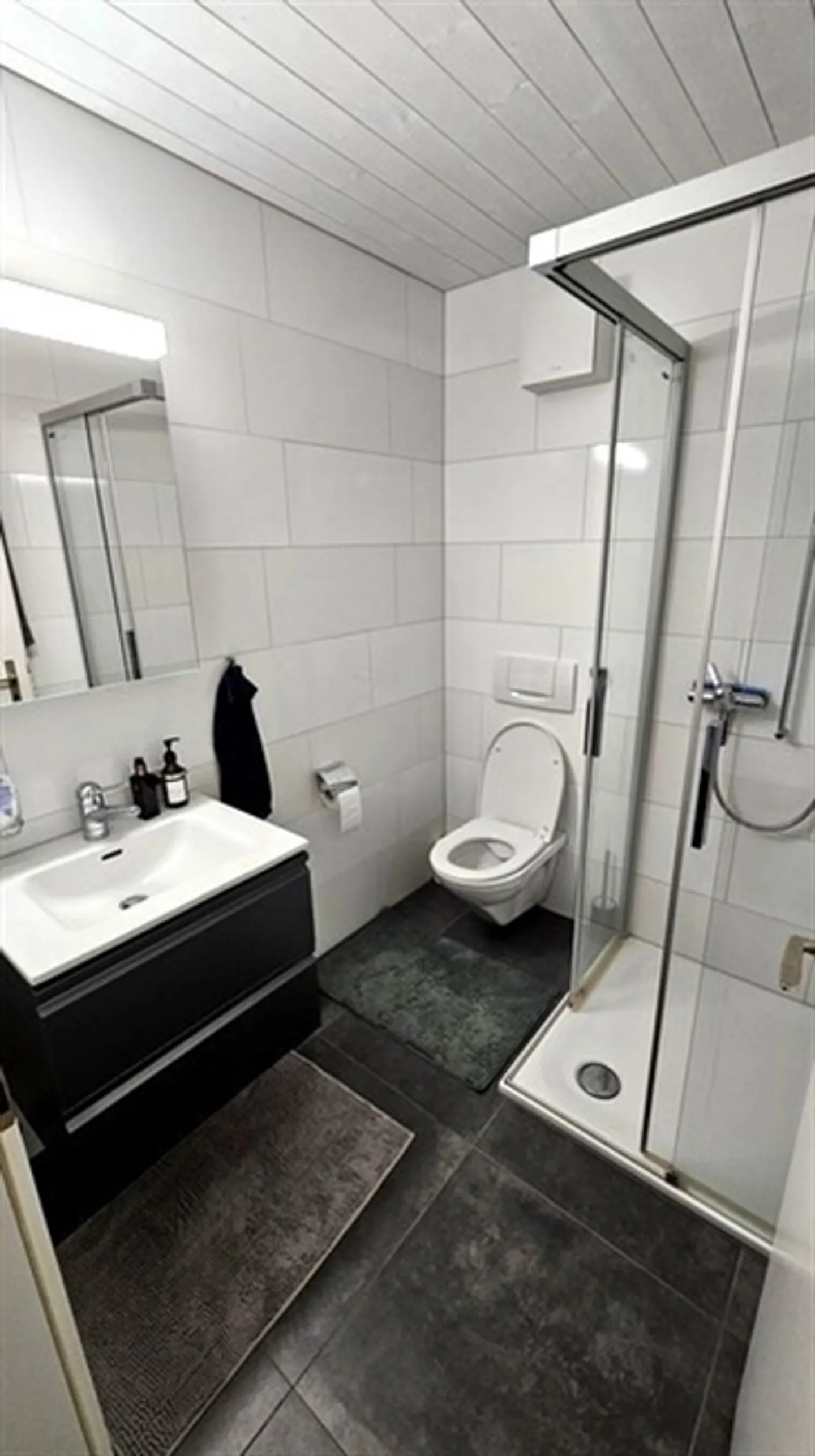 2½ ROOM APARTMENT IN BERN - MATTENHOF, FURNISHED, TEMPORARY - Photo 10 of 10