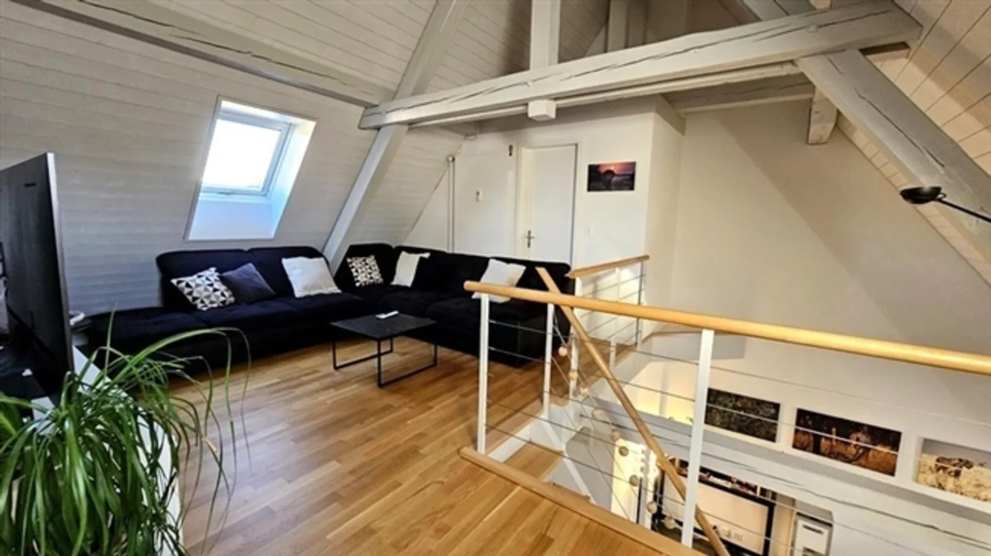 2½ ROOM APARTMENT IN BERN - MATTENHOF, FURNISHED, TEMPORARY - Photo 2 of 10