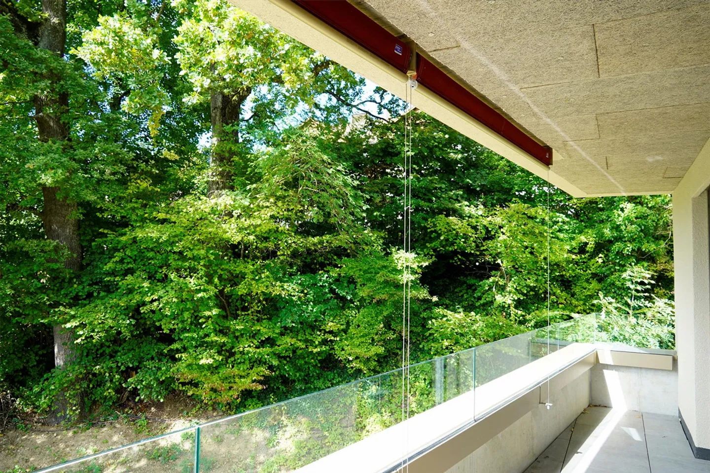 PRIMA LOCAZIONE - Appartamento spazioso, due balconi - Vista nel verde! - Foto 3 di 13