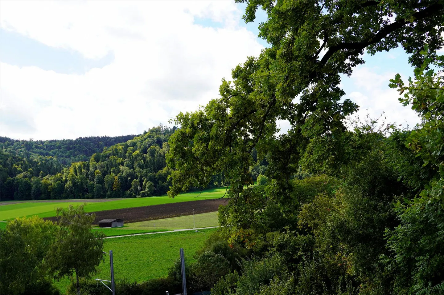 PRIMA LOCAZIONE - Appartamento spazioso, due balconi - Vista nel verde! - Foto 2 di 13