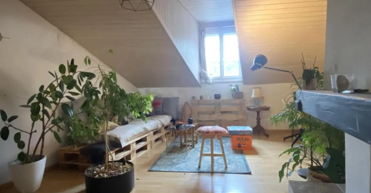 3.5 Room Apartment - Photo 2 of 7