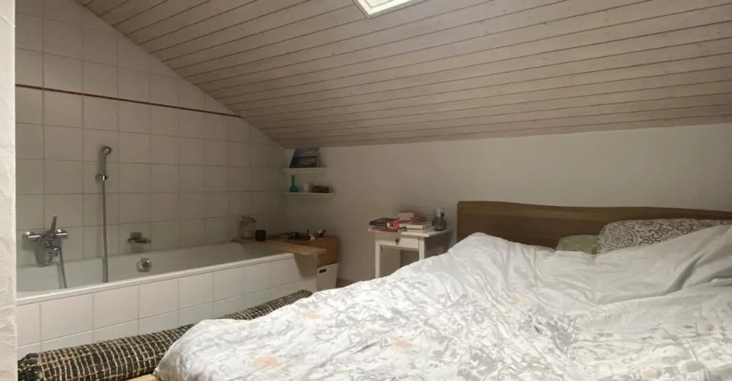 3.5 Room Apartment - Photo 5 of 7
