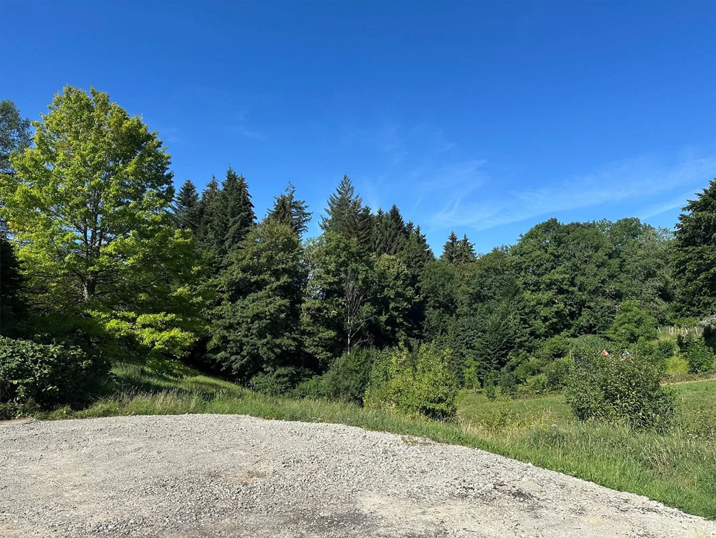 Votre nouveau chez-vous - loin du bruit et pourtant au cœur de Teufen - Photo 3 sur 5