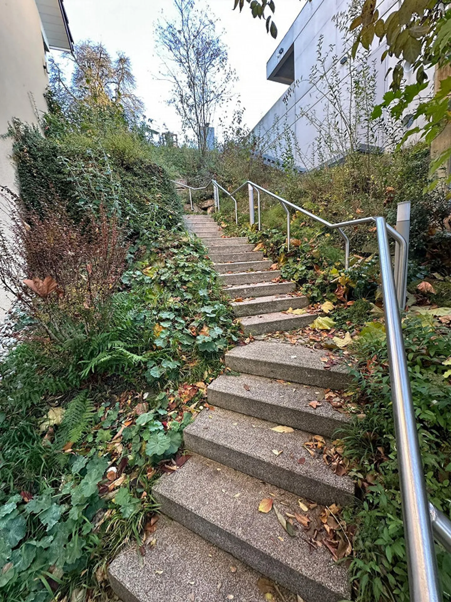 Subaffittuario per bell'appartamento di 3,5 stanze - Foto 2 di 11