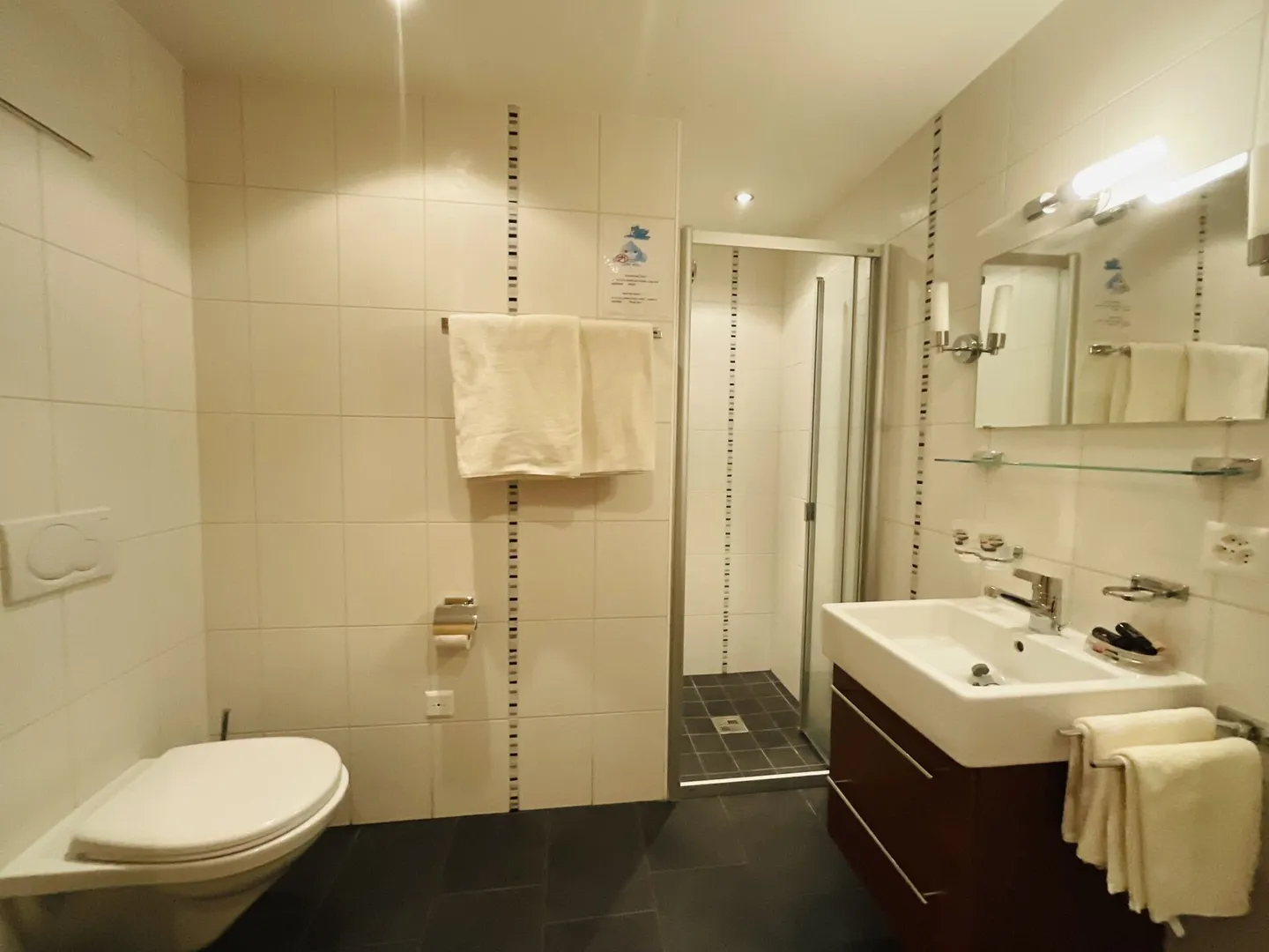 Wunderschöne 3,5-Zimmer-Wohnung in Champex-Lac - Foto 15 von 19