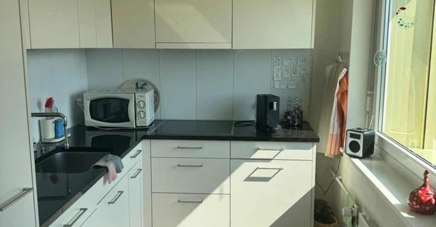 Charming 3-room apartment with panoramic view in the green for rent - Photo 6 of 8