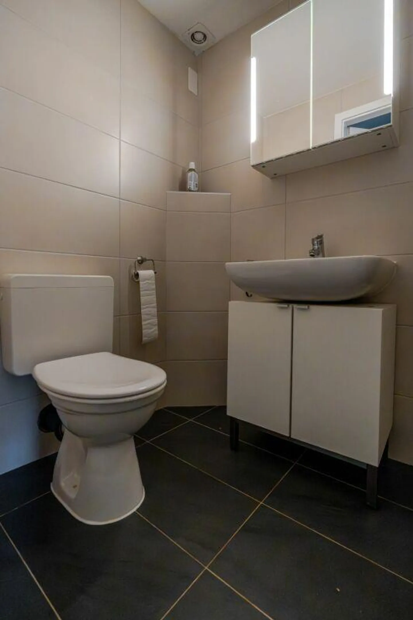 Maison individuelle spacieuse avec 6,5 pièces et jardin dans un emplacement central - Photo 3 sur 13