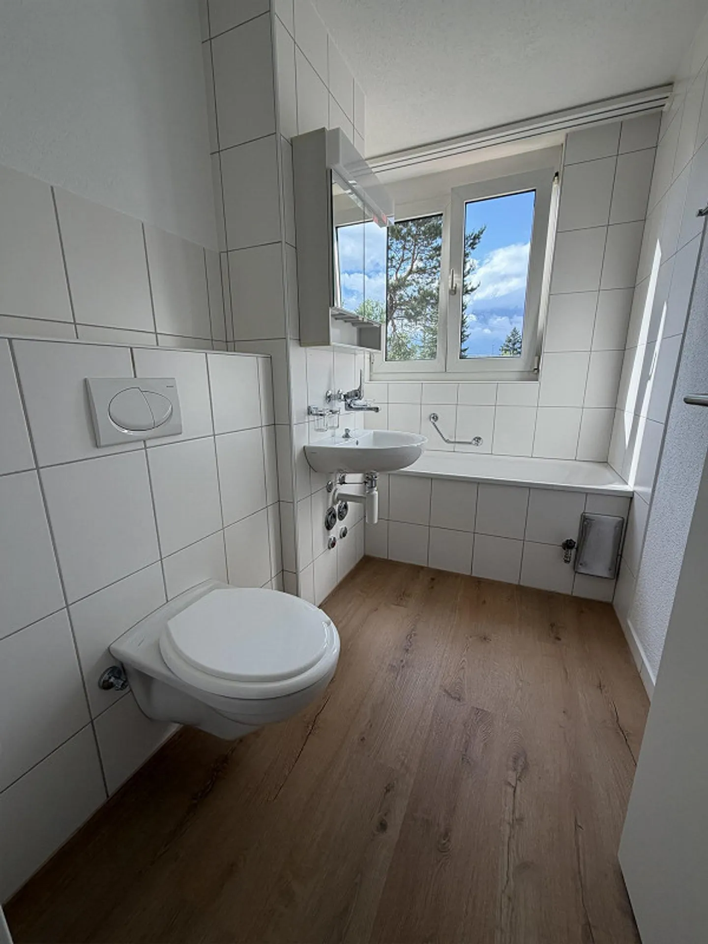 Freshly renovated 3 1/2 apartment in a quiet and central location - Photo 5 of 11