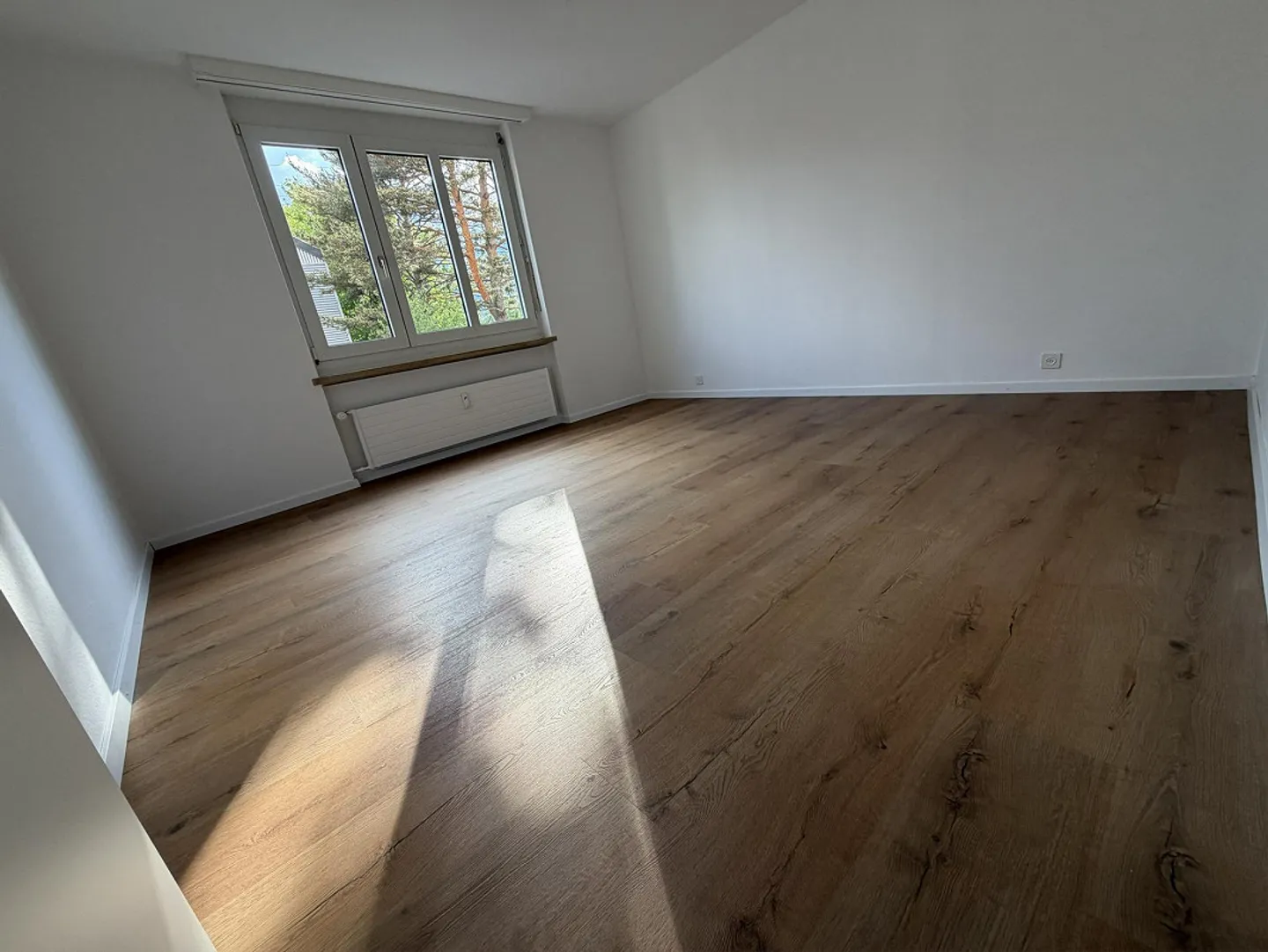 Freshly renovated 3 1/2 apartment in a quiet and central location - Photo 8 of 11