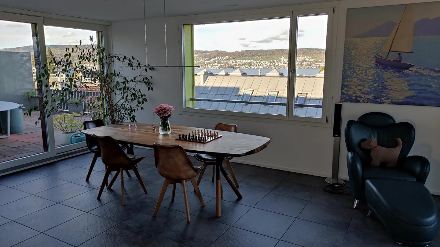 Bright, luxurious penthouse apartment in the center with lake view - Photo 4 of 7