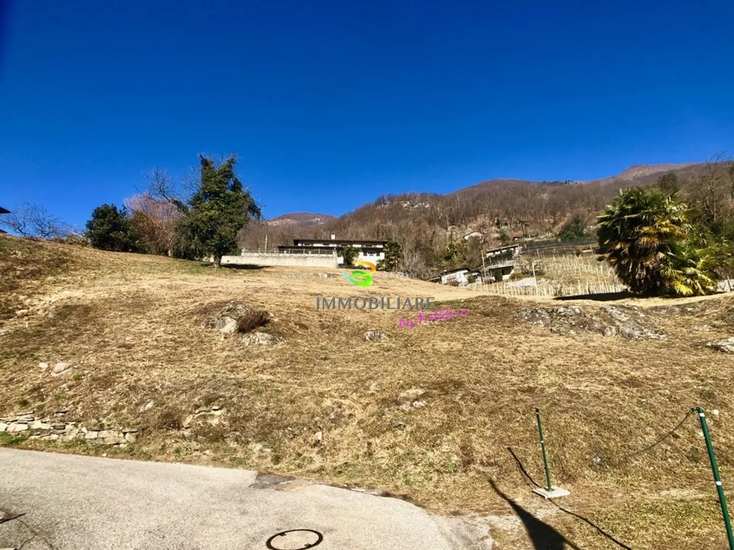Terreno edificabile in affitto - Foto 6 di 9