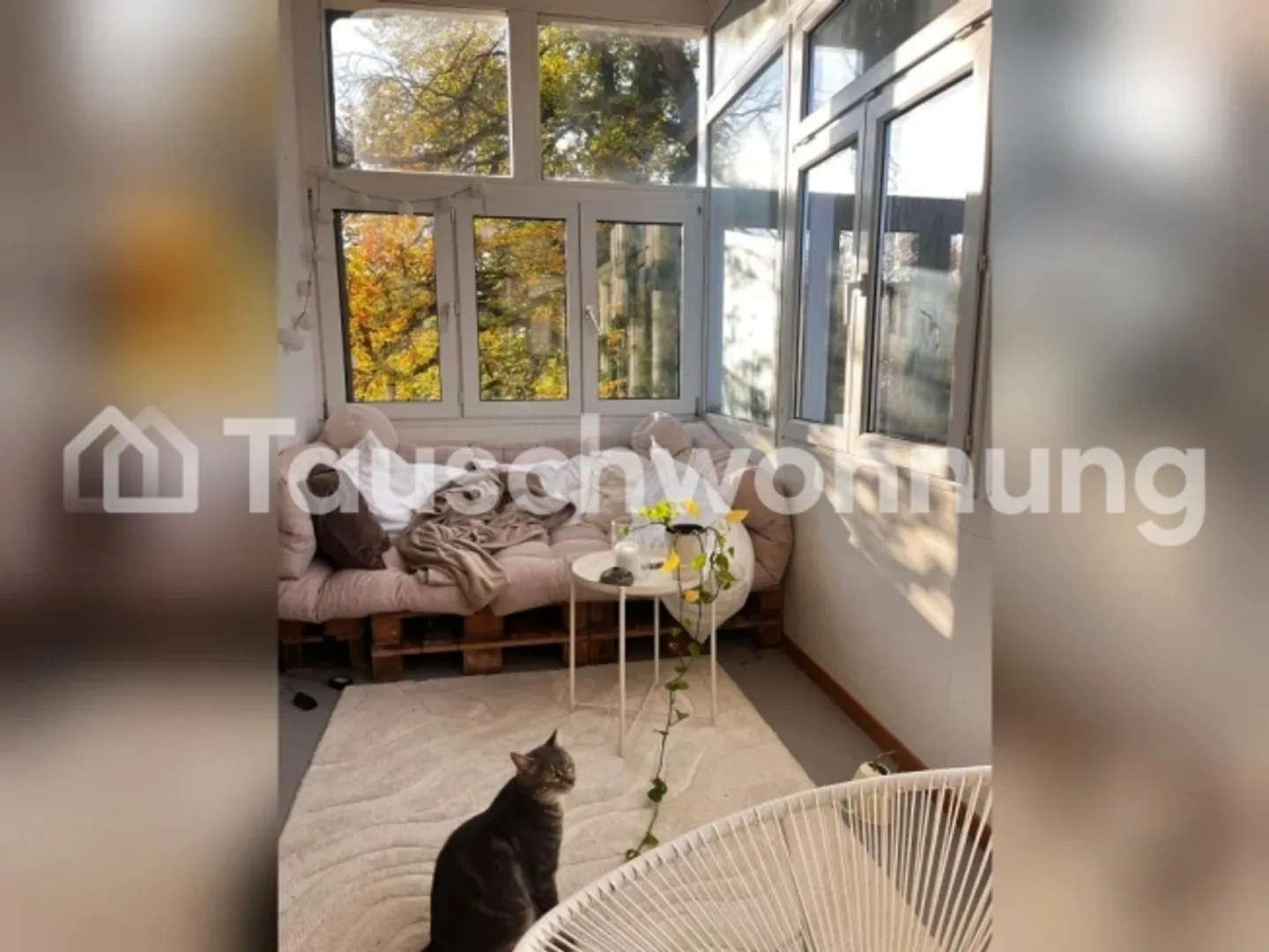 Spacious 5.5-room apartment on the city border of Winter - Photo 5 of 8