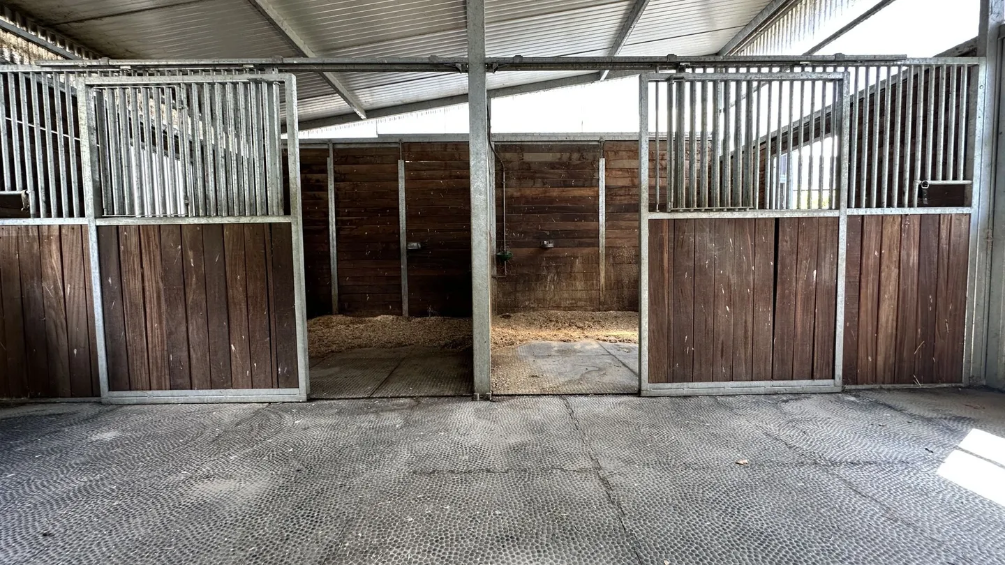 Villa avec écurie pour chevaux à Dorénaz - Foto 22 di 22