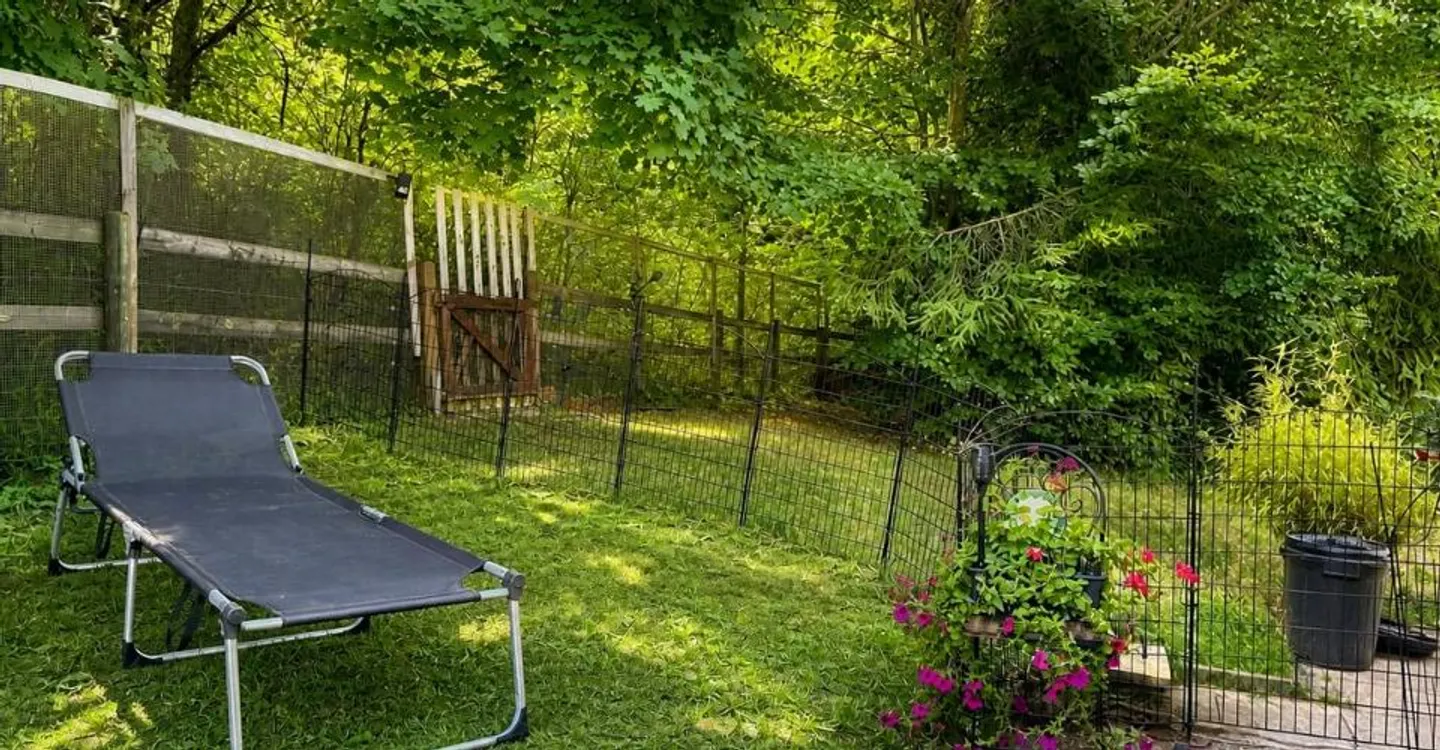 A little piece of paradise on the edge of the forest - calm, nature, and panoramic view - Photo 10 of 10