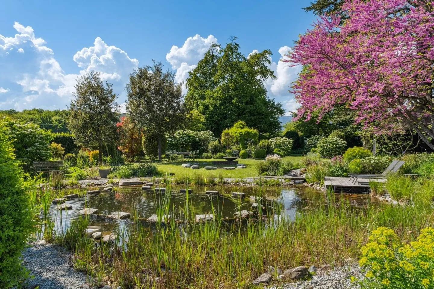 Casa 10 stanze - Foto 17 di 19