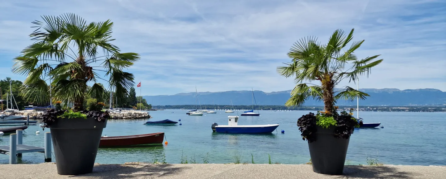 La magnifique villa : Une élégante villa familiale / Collonge-Bellerive - Photo 1 sur 5