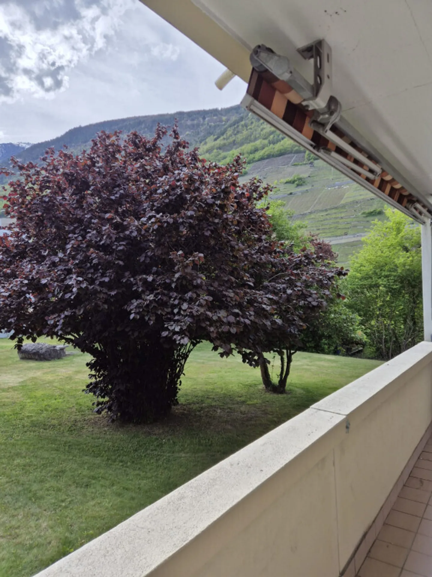 Apartment - Photo 7 of 10