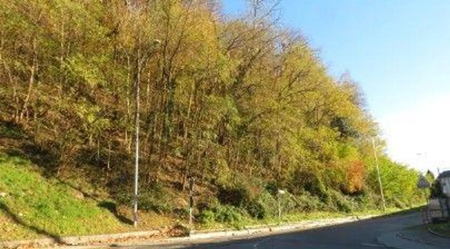 Casa singola in affitto - Foto 6 di 13