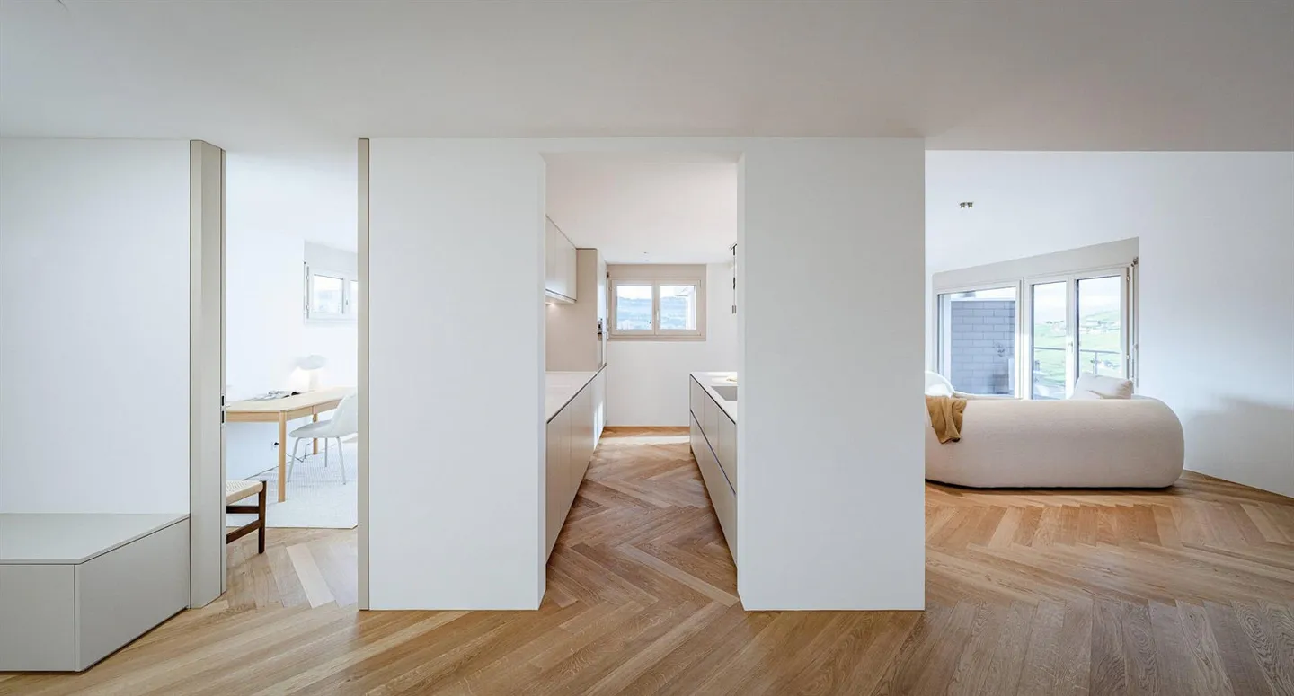 TERRACE HOUSE SPECTACLE HIGH ABOVE LAKE ZUG - Photo 3 of 5