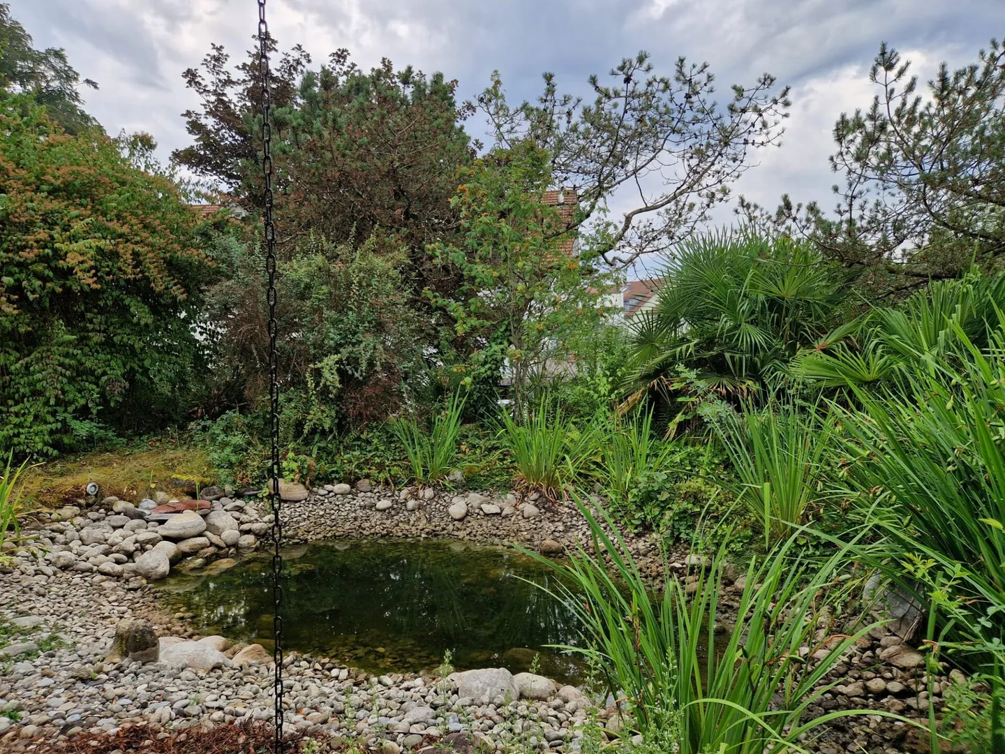Esperienza abitativa di 7,5 stanze con galleria, ascensore e piscina al confine della foresta - Foto 27 di 27