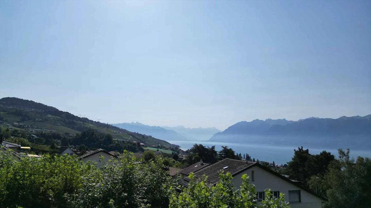 Vue imprenable pour un cadre de vie exceptionnel à Lutry - Photo 8 sur 9