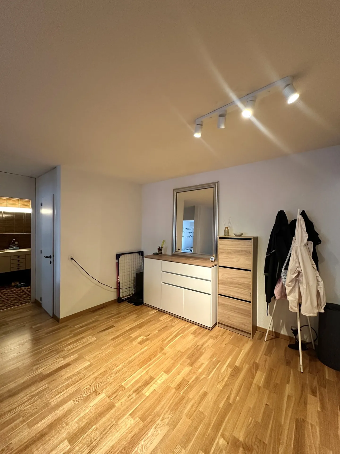 Appartamento Incantevole a Berna - Foto 7 di 10