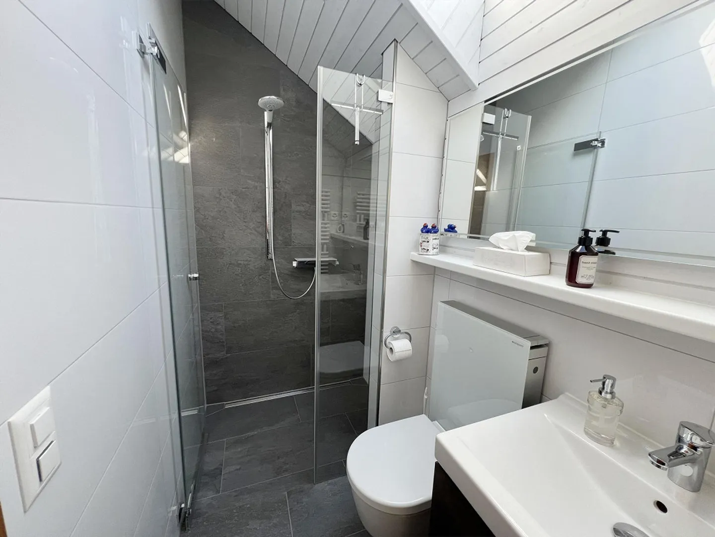 Charmantes Einfamilienhaus in Arbon - Foto 9 von 12